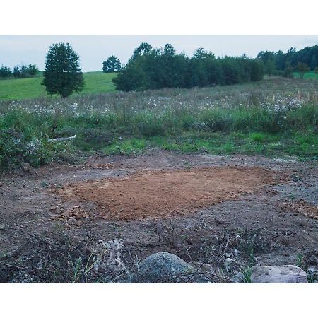 Place For Tent - Miejsce Na Namiot U Stop Natury Kuty Ngoại thất bức ảnh
